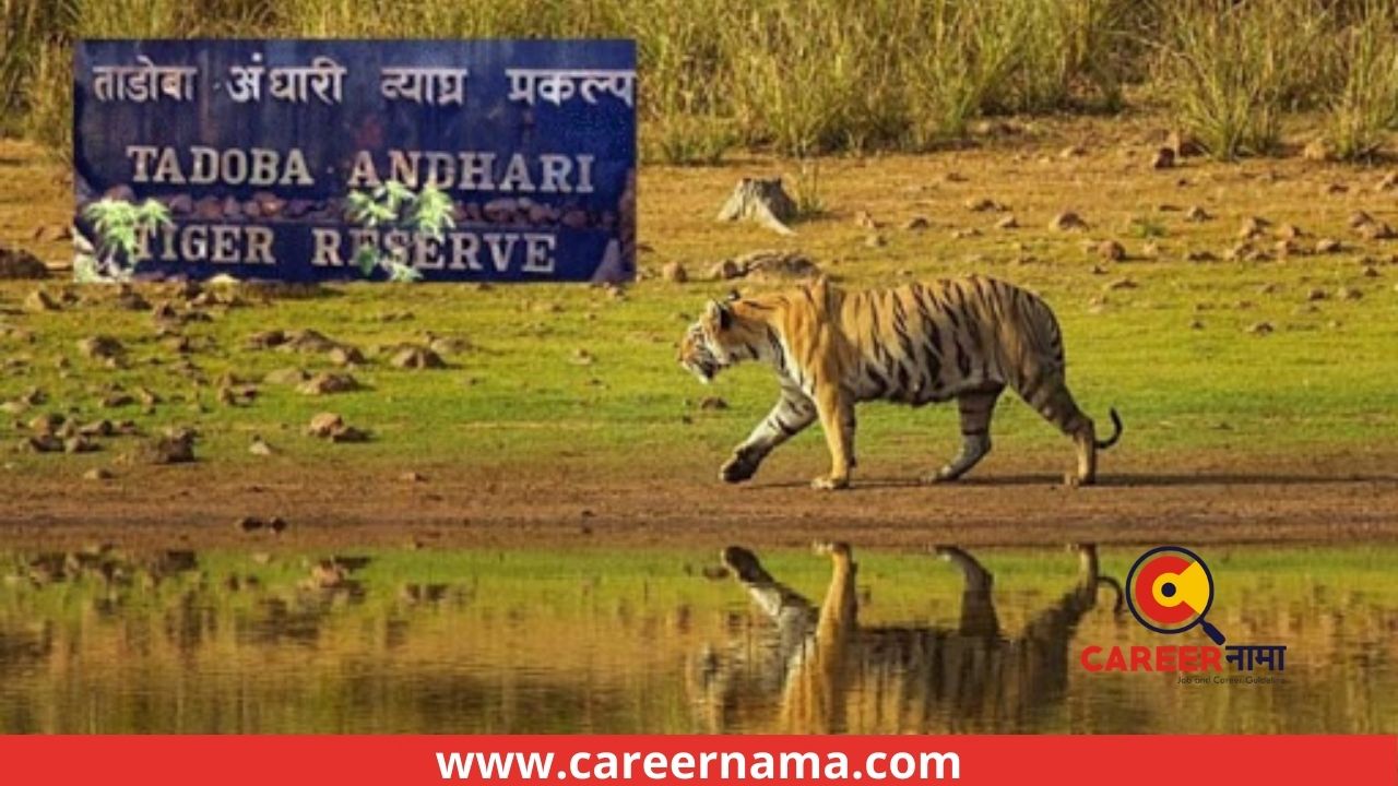 Tadoba Tiger Reserve Chandrapur Bharti 2021
