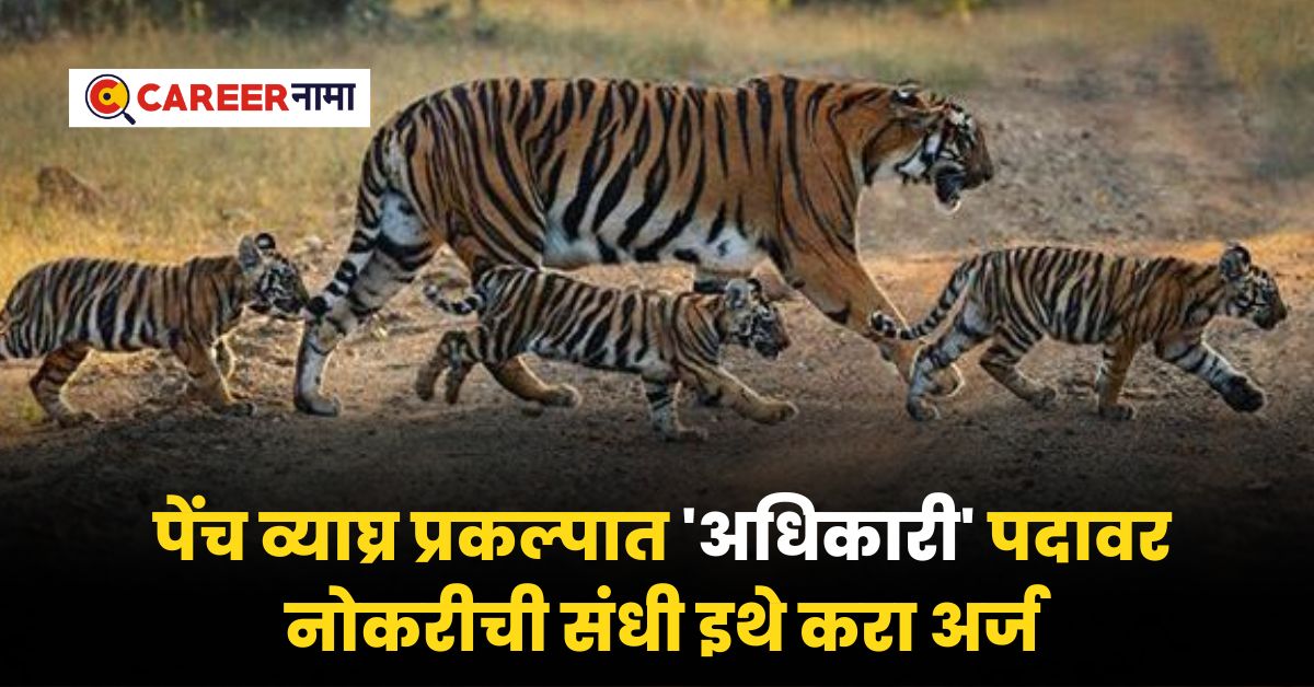 Pench Tiger Reserve Recruitment 2024 : पेंच व्याघ्र प्रकल्पात 'अधिकरी ...